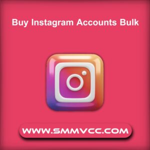 Buy Instagram Accounts Bulk
